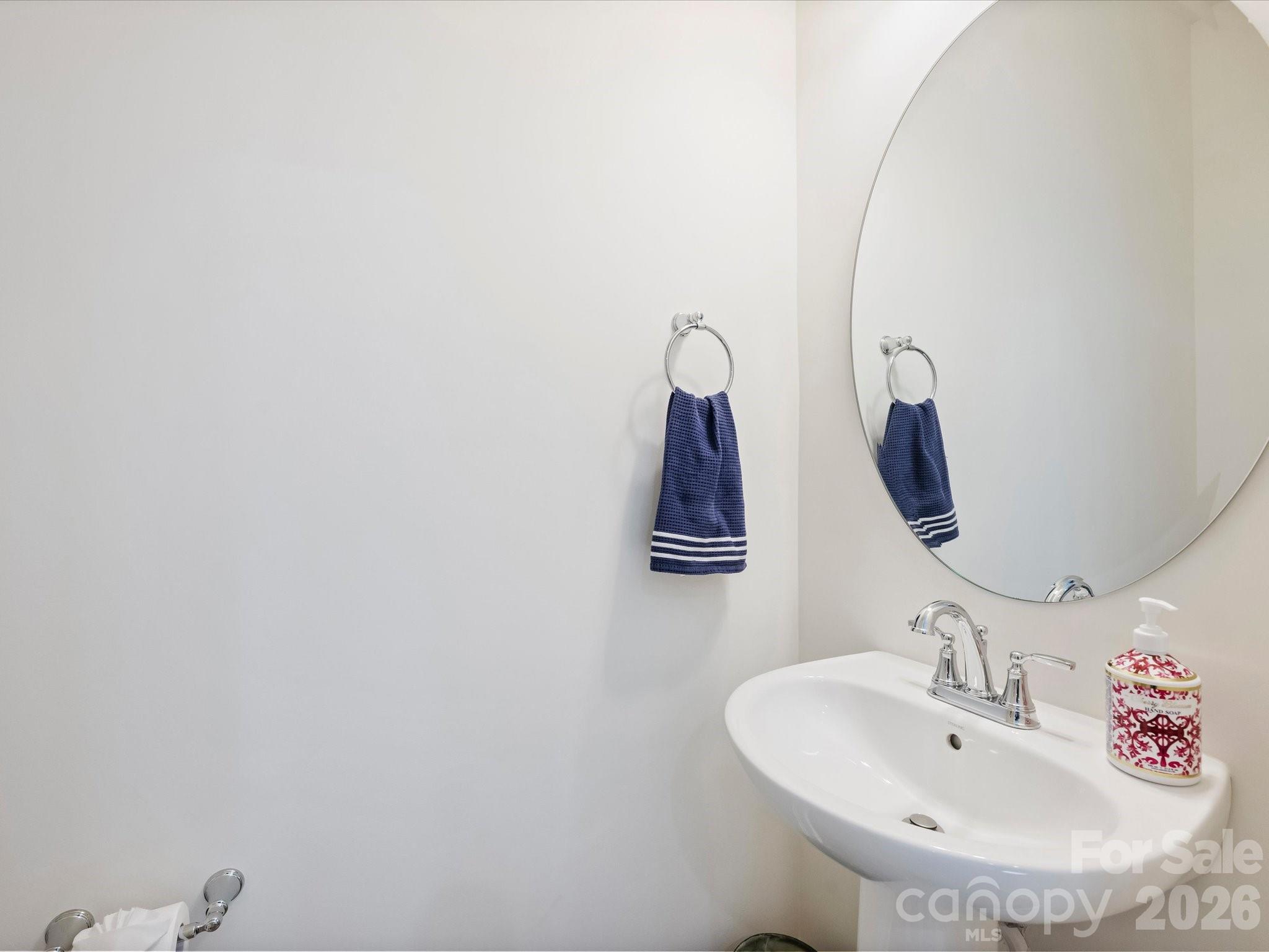 2405 Magnolia Blossom Way — Charlotte