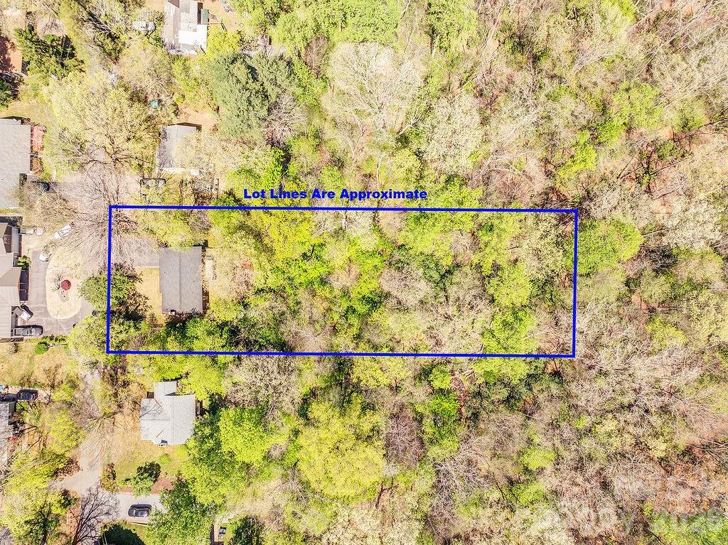 24 Forest Lane — Black Mountain