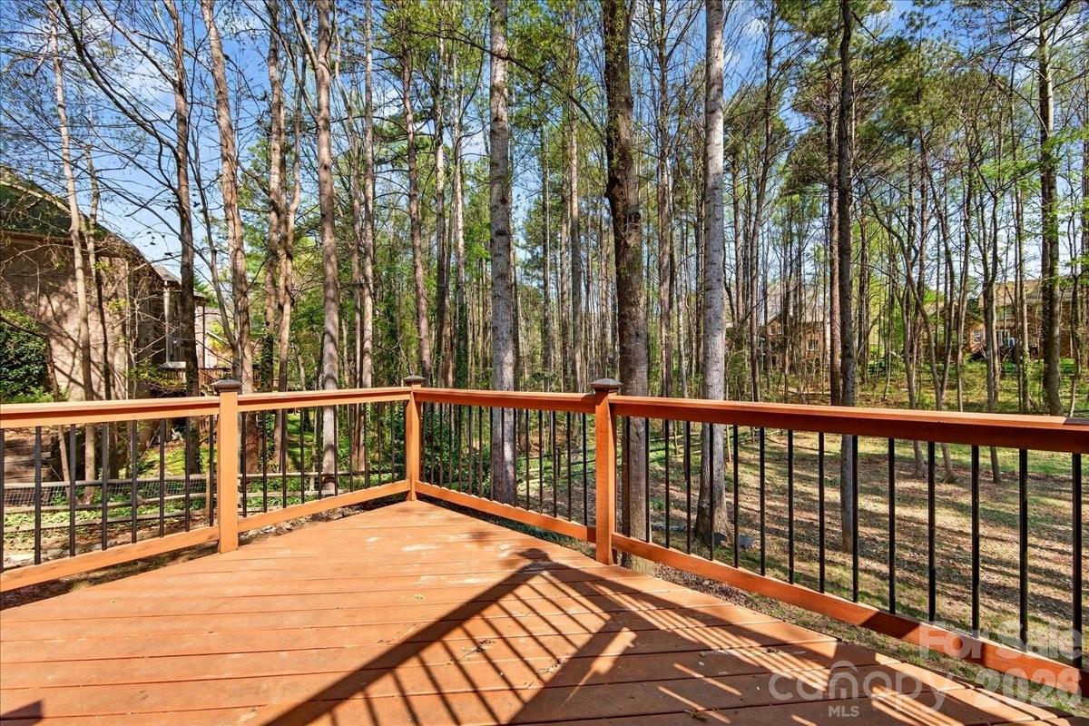 12532 Overlook Mountain Drive — Charlotte