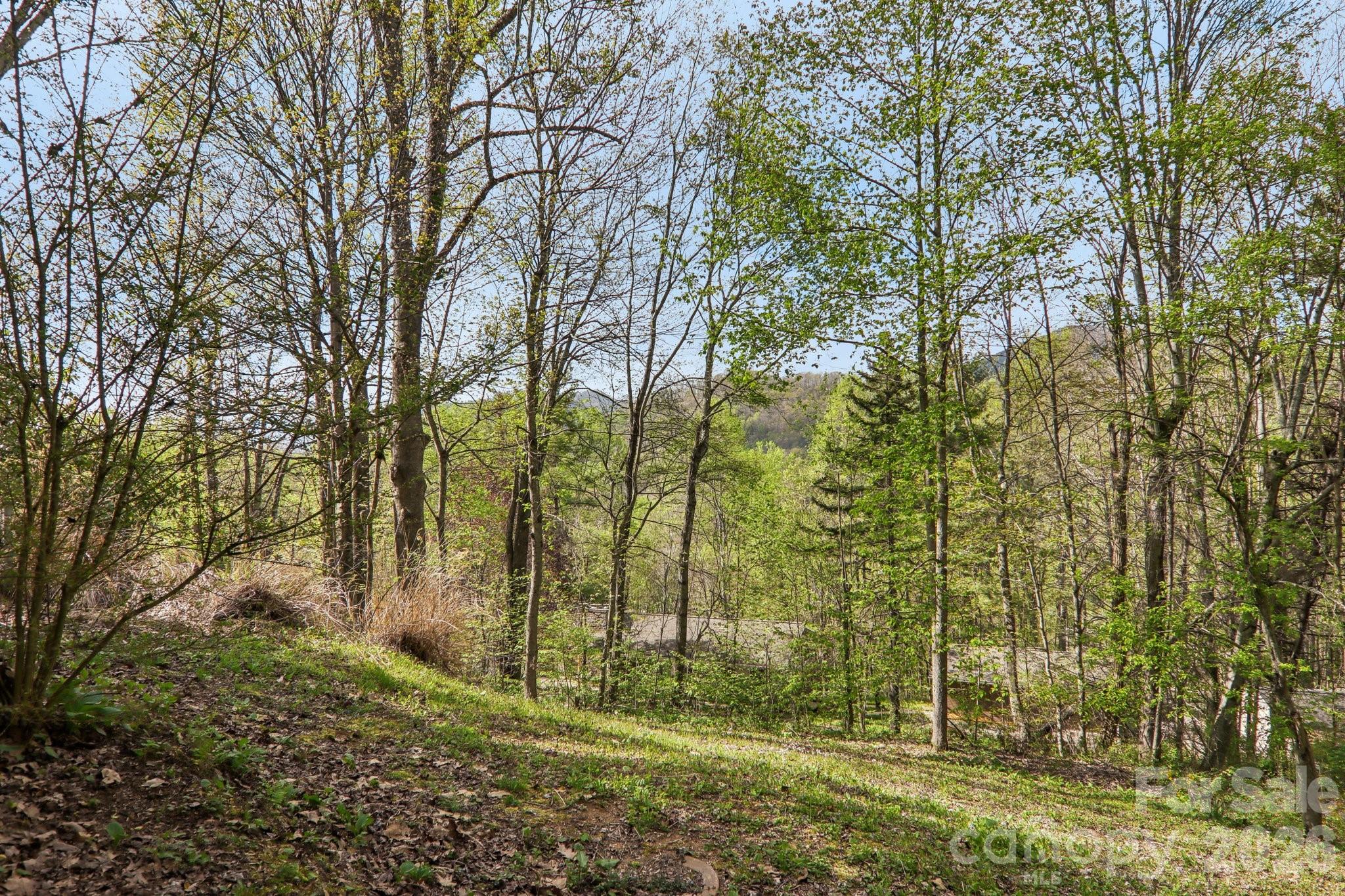74 Link Circle — Maggie Valley