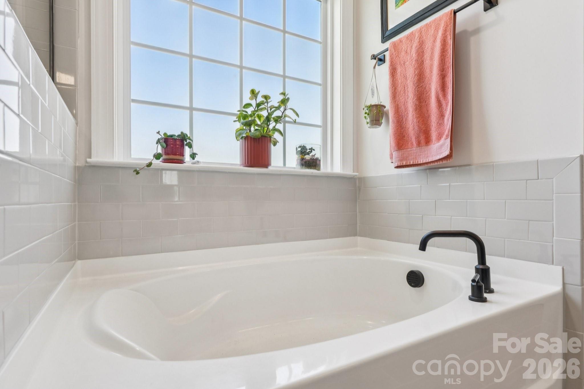 4138 Wild Olive Drive — Huntersville