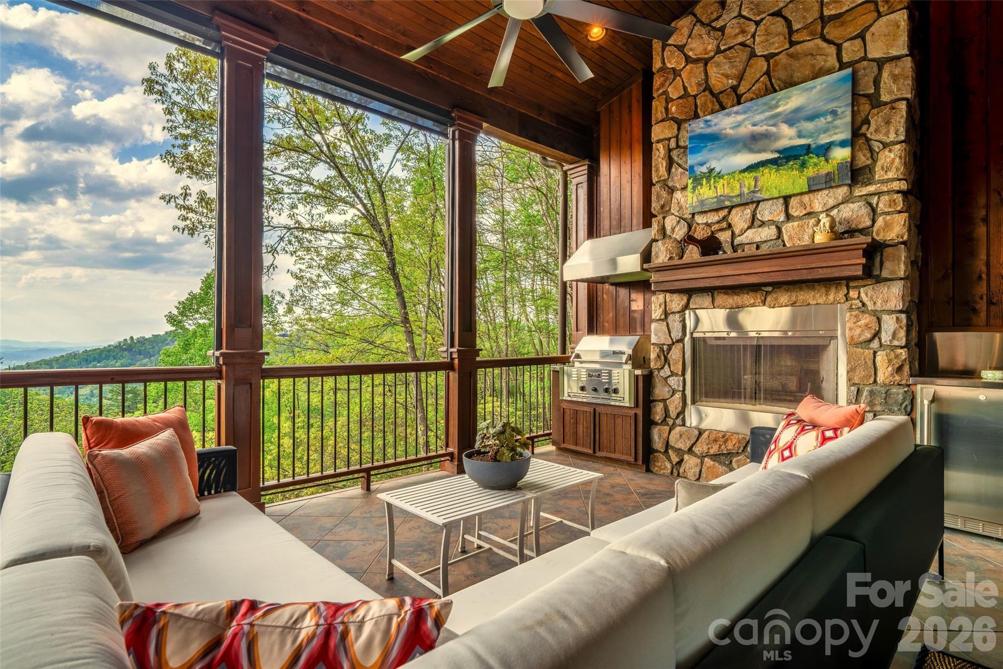 8 Timberwolf Court — Asheville