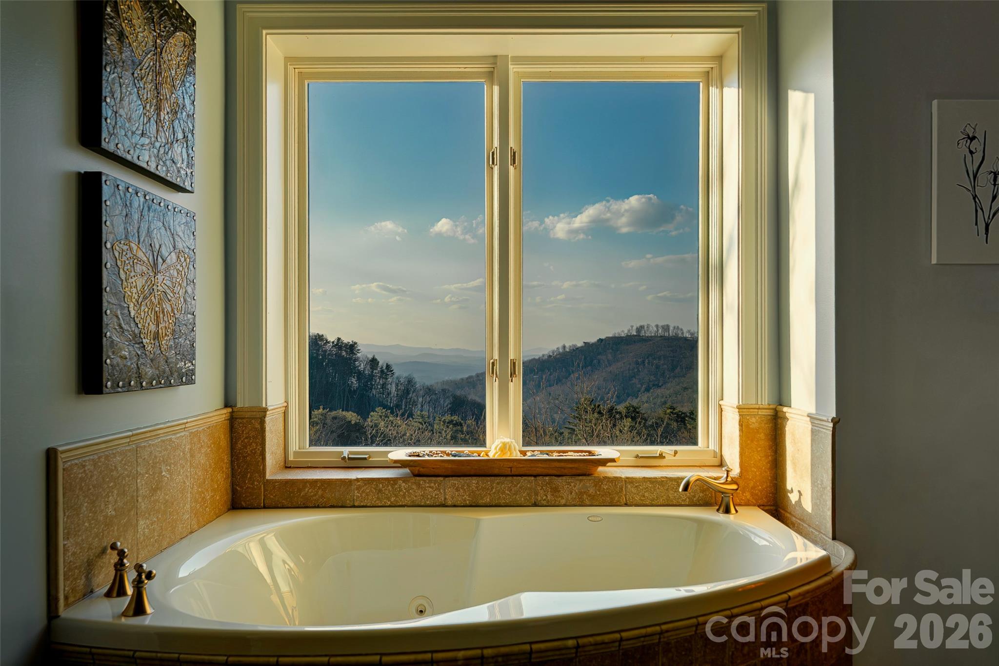 8 Timberwolf Court — Asheville