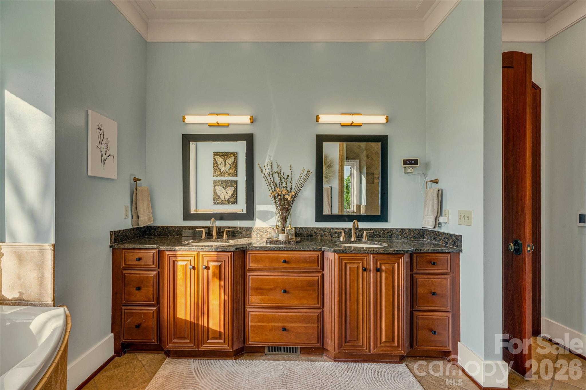 8 Timberwolf Court — Asheville