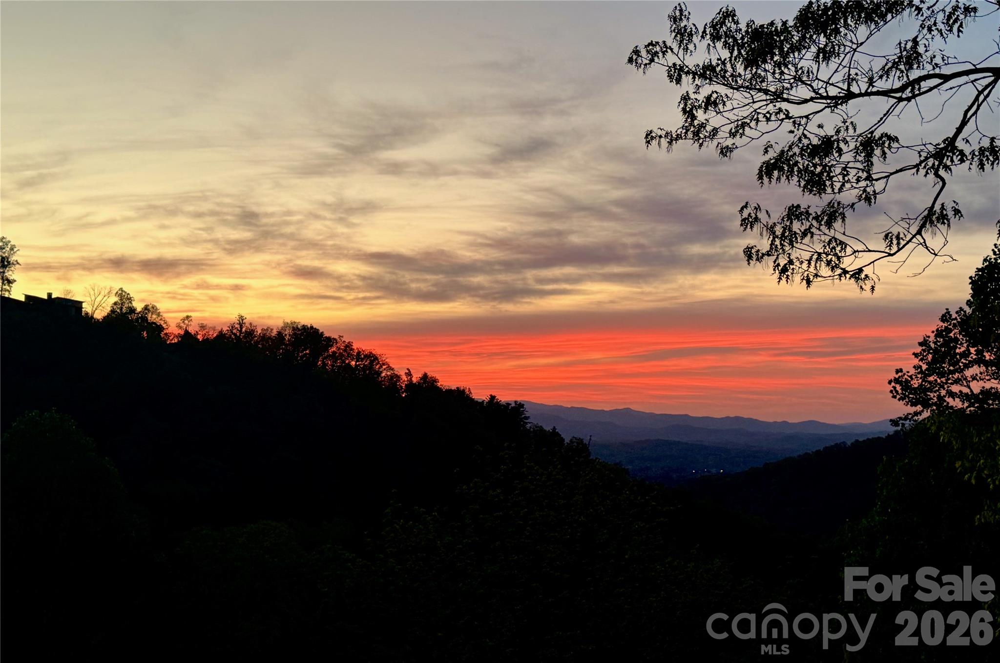 8 Timberwolf Court — Asheville