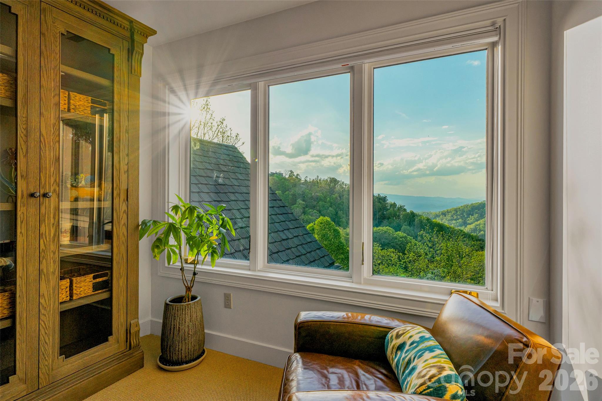 8 Timberwolf Court — Asheville