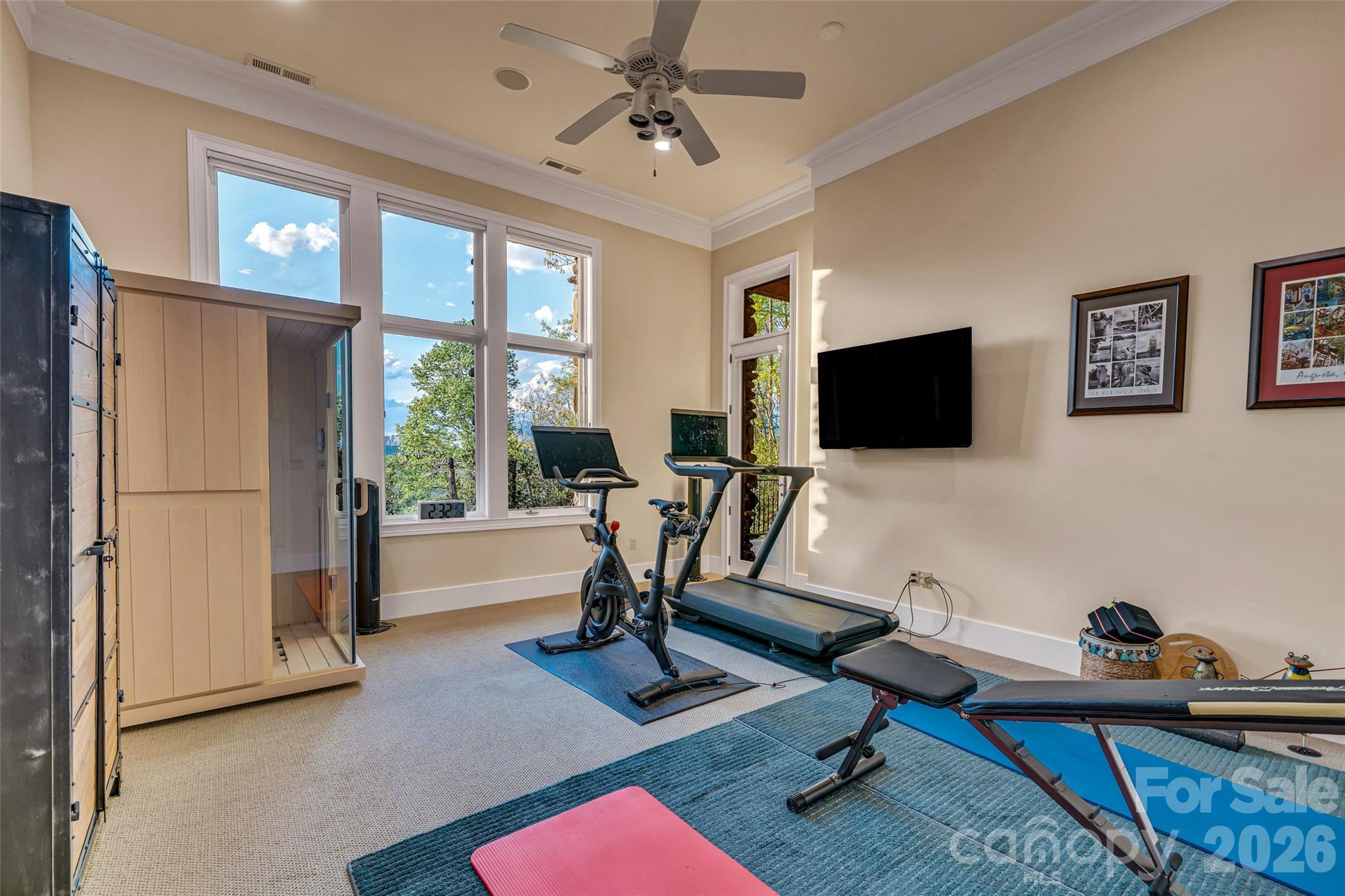 8 Timberwolf Court — Asheville
