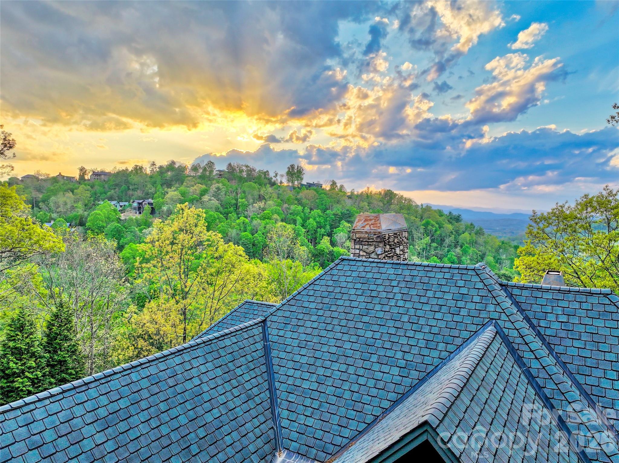 8 Timberwolf Court — Asheville