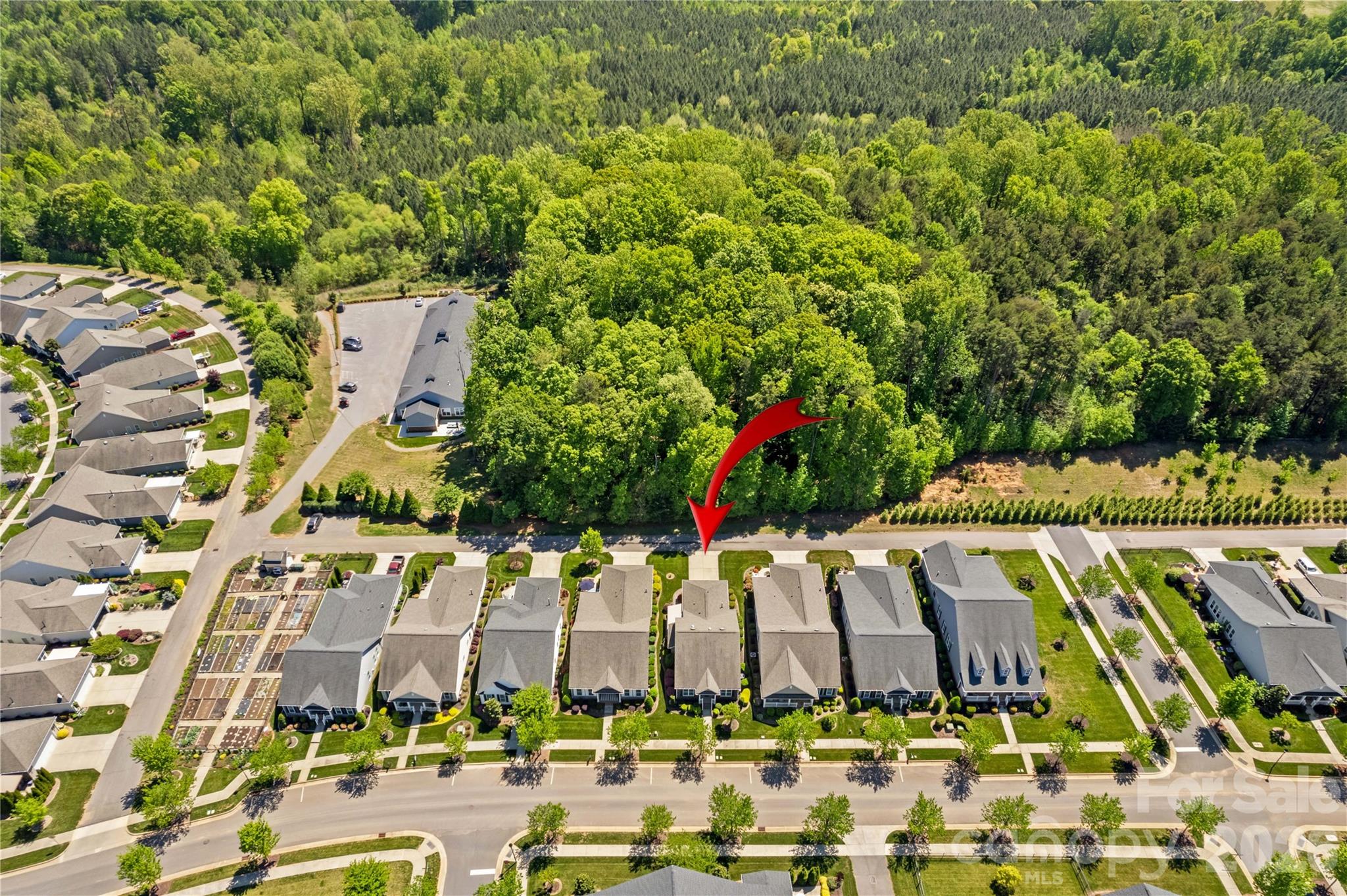 11516 Dublin Crescent Road — Cornelius