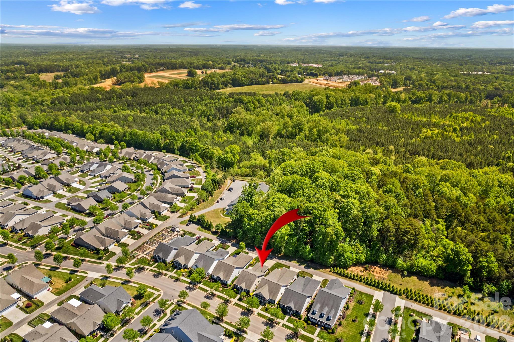11516 Dublin Crescent Road — Cornelius