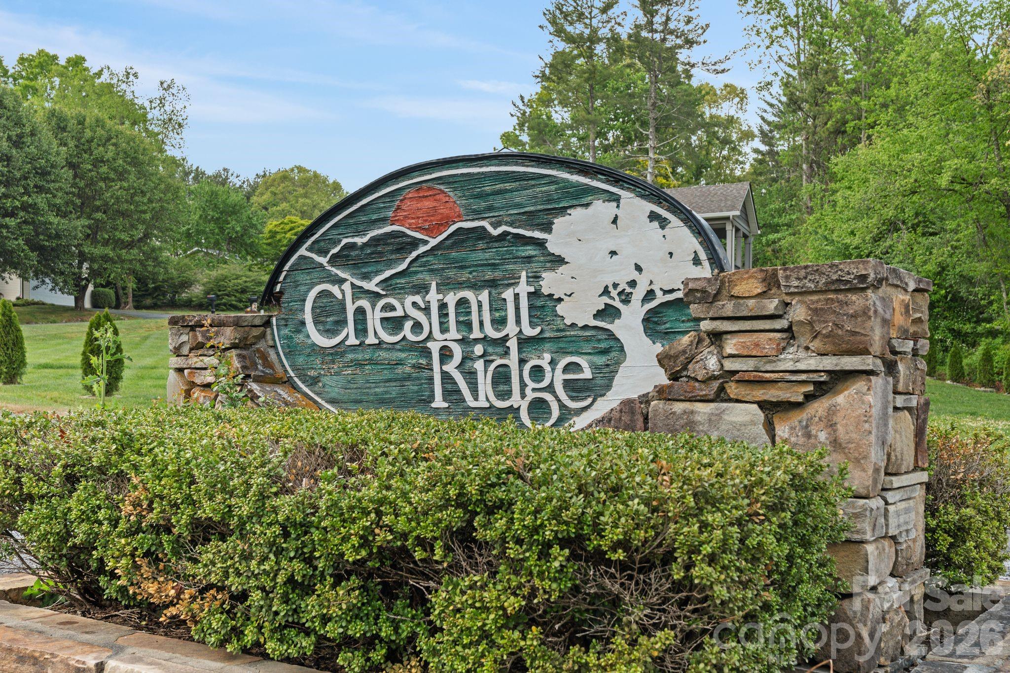 112 Chestnut Lane — Hendersonville