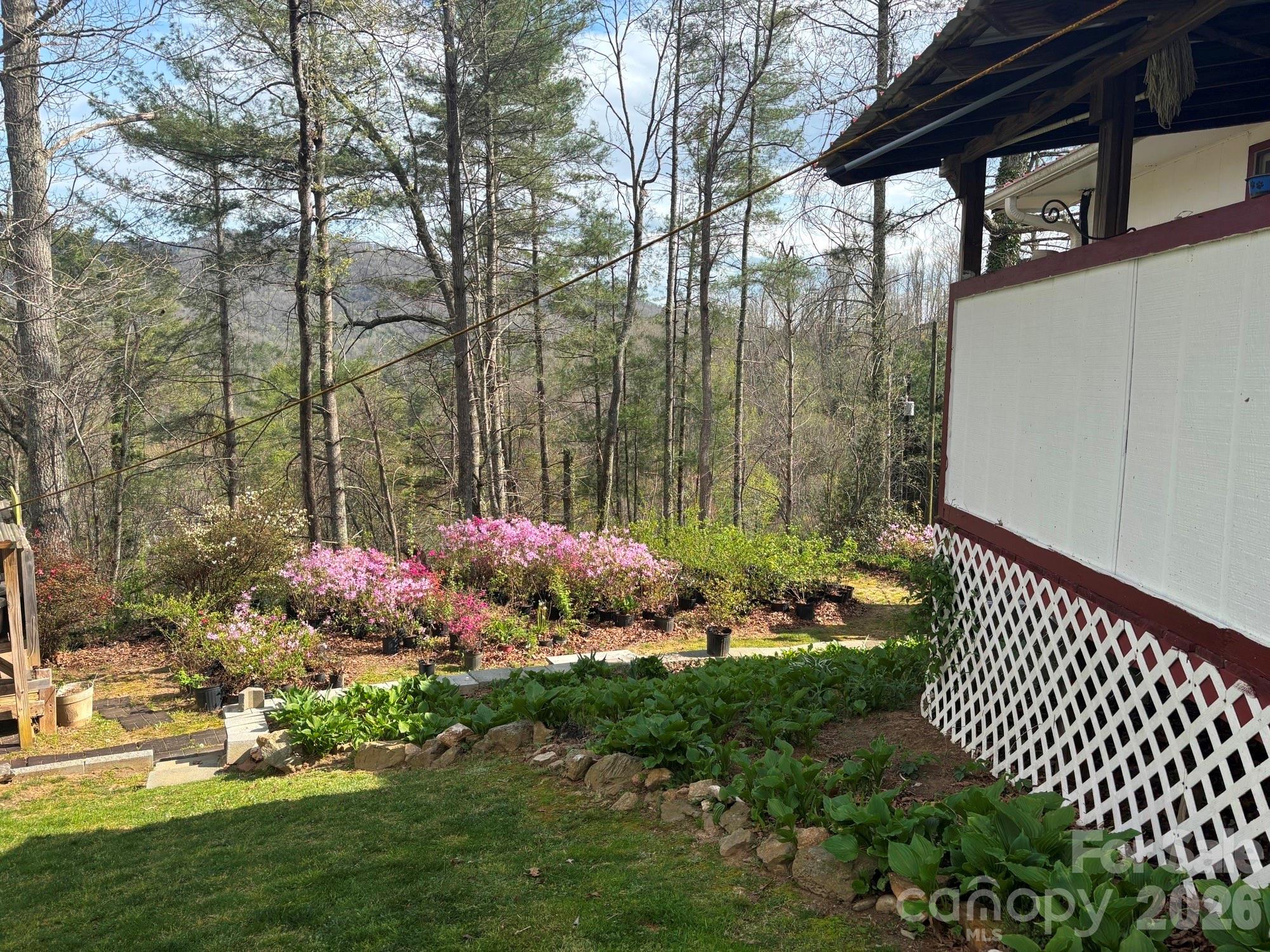 493 Franklintown Road — Spruce Pine