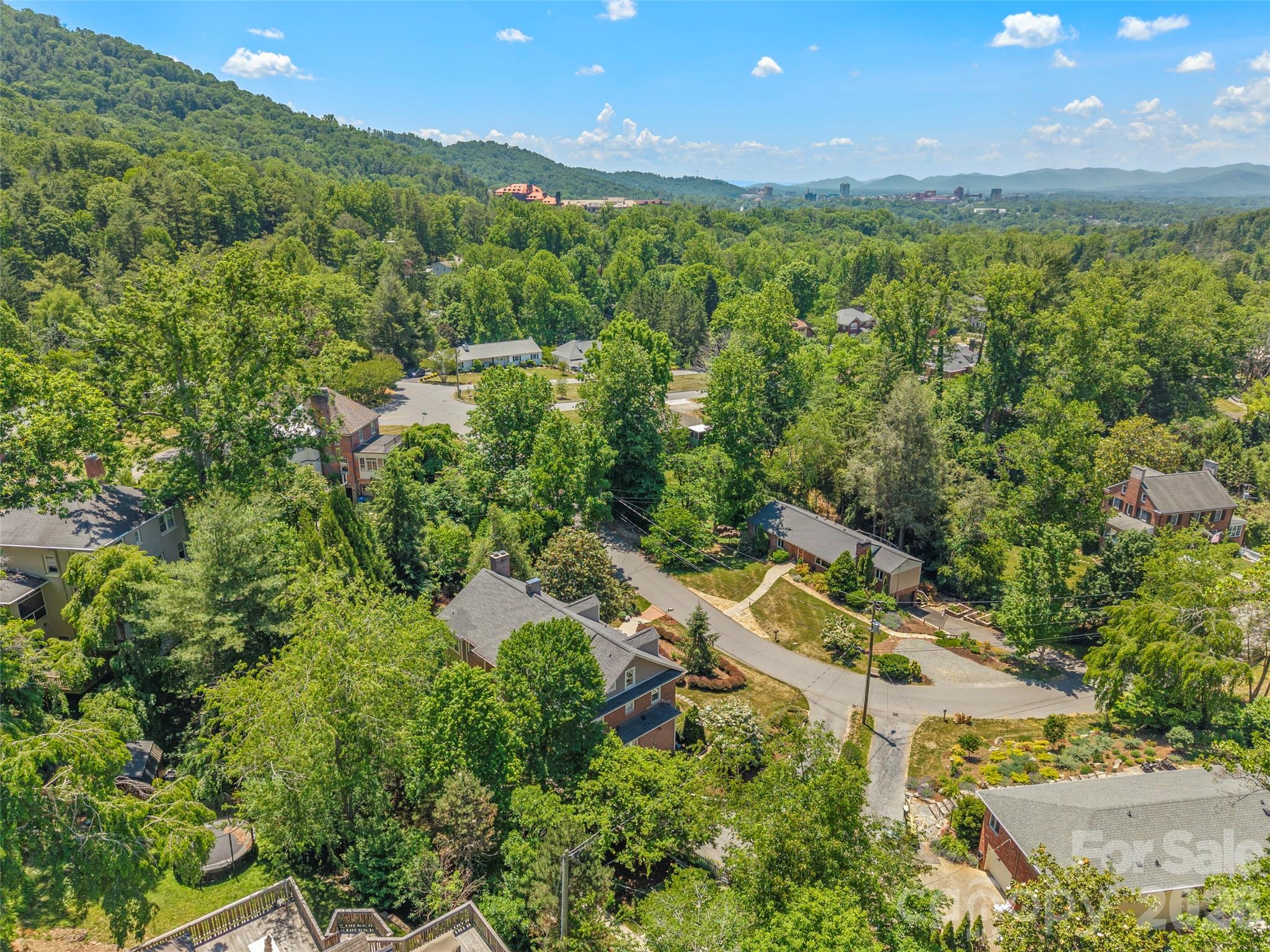 19 Blackwood Road — Asheville