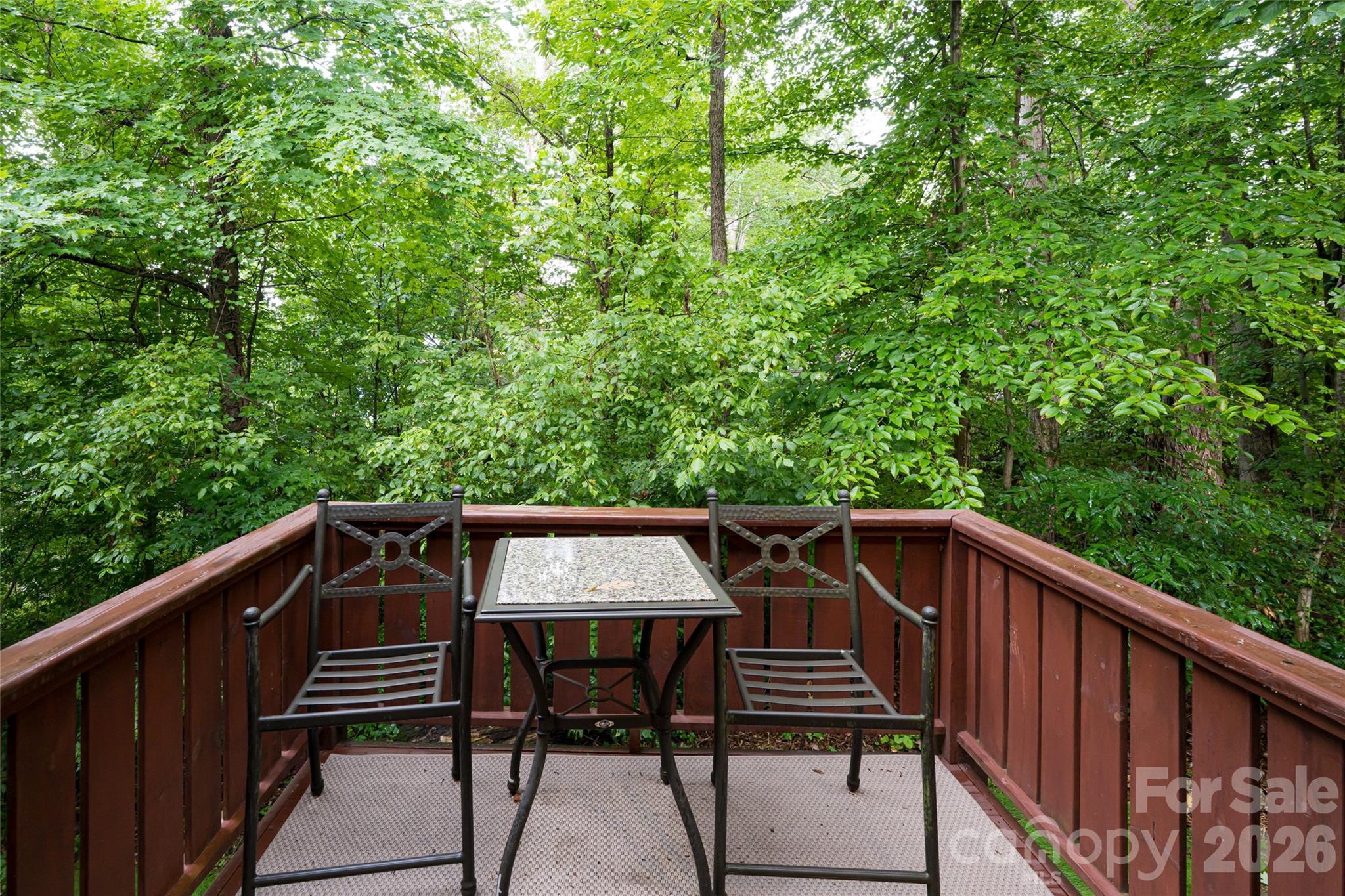 51 Westover Drive — Asheville