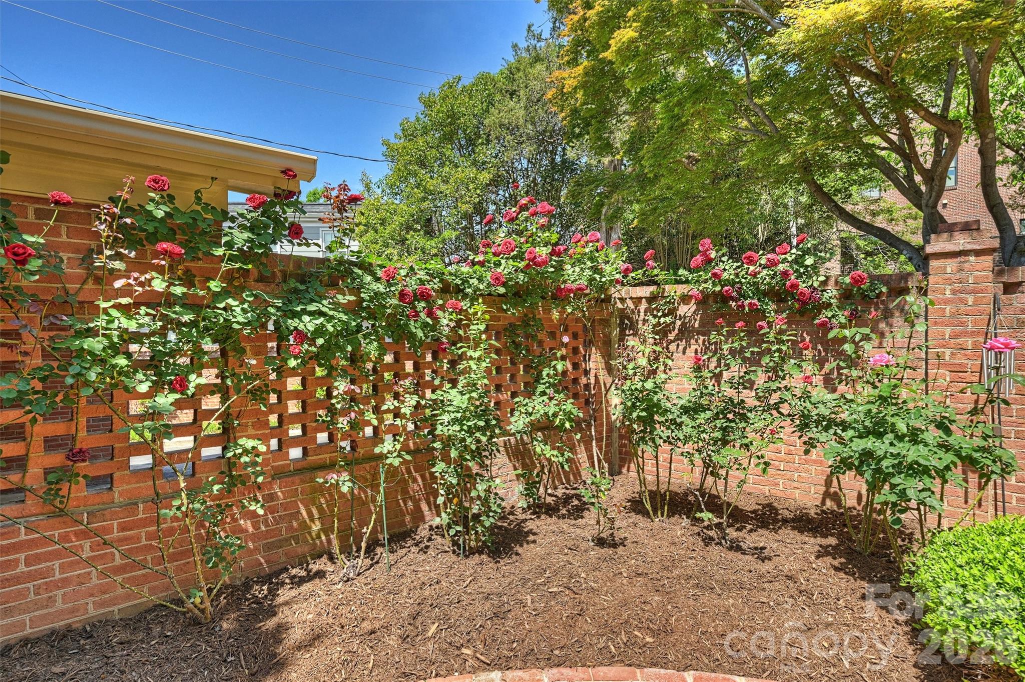 2320 Selwyn Avenue — Charlotte