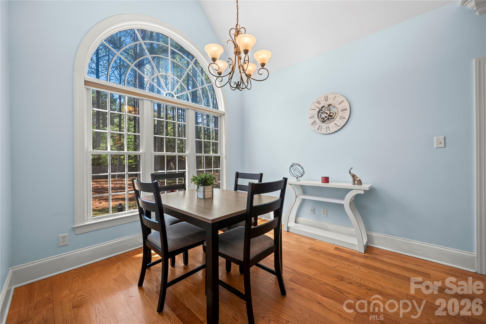 443 Crowders Bluff Court — Clover