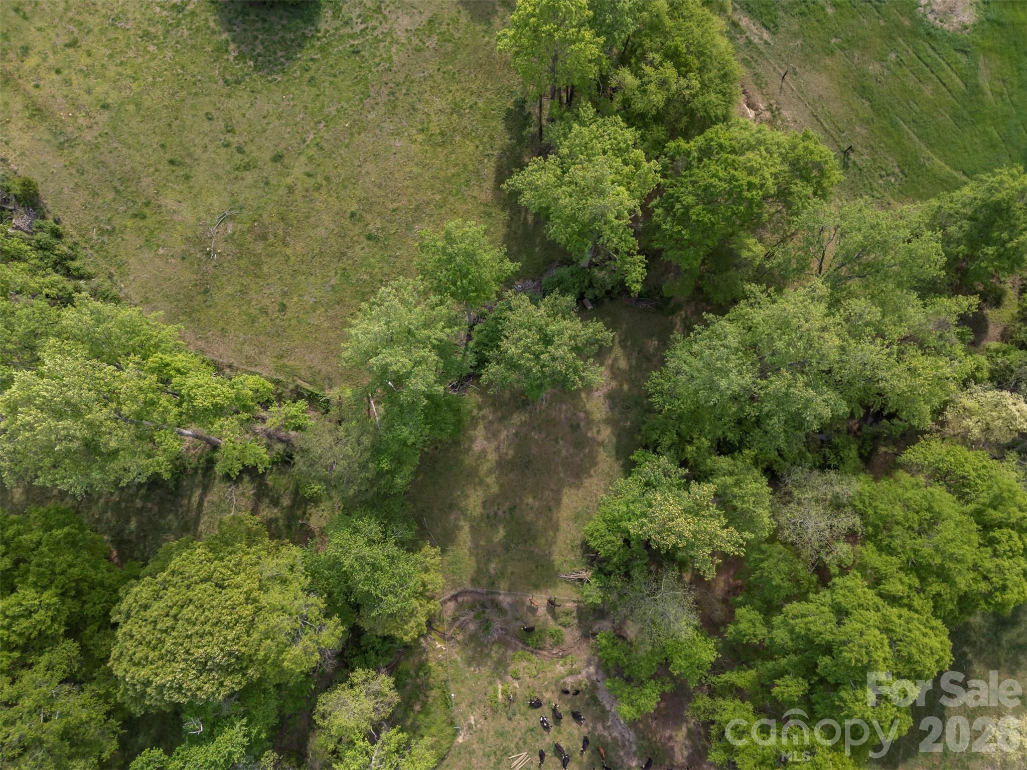 504 Old Henrietta Road — Forest City