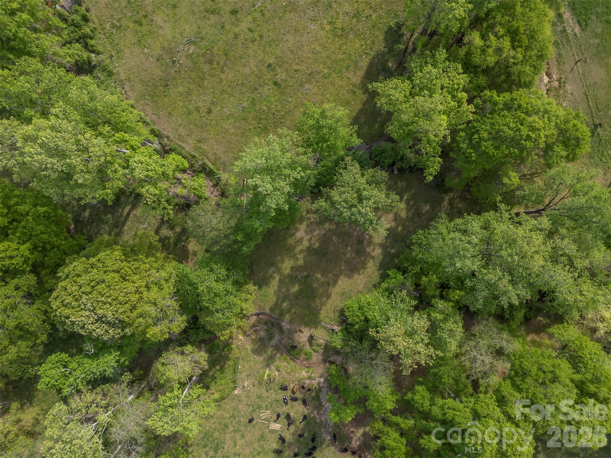 504 Old Henrietta Road — Forest City