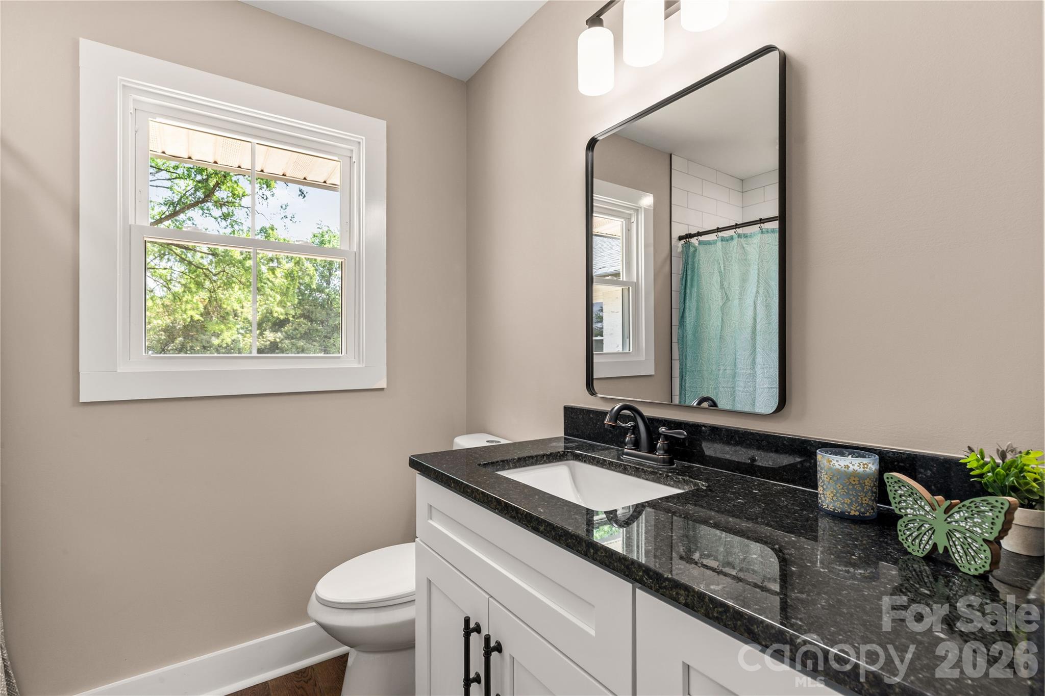 1108 Evans Mill Road — Pageland