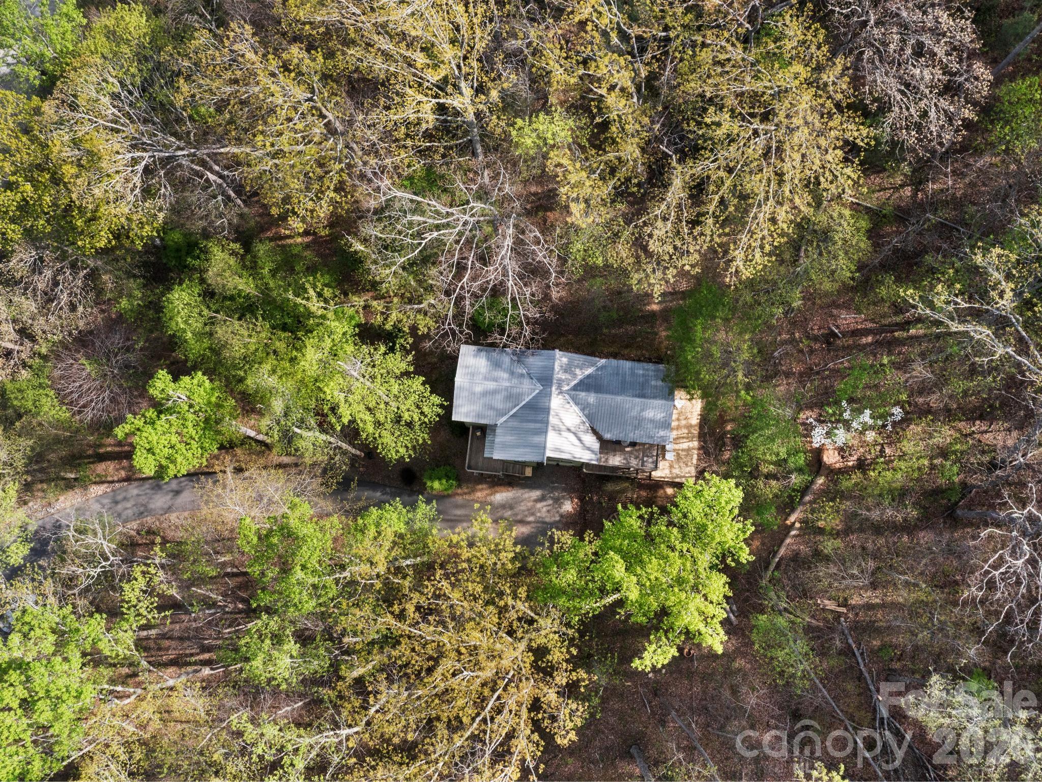 291 Webb Cove Road — Asheville