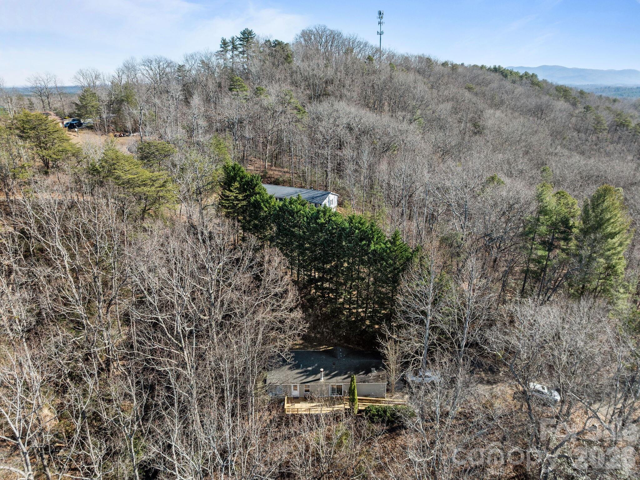 102 Scotts Cove Road — Nebo
