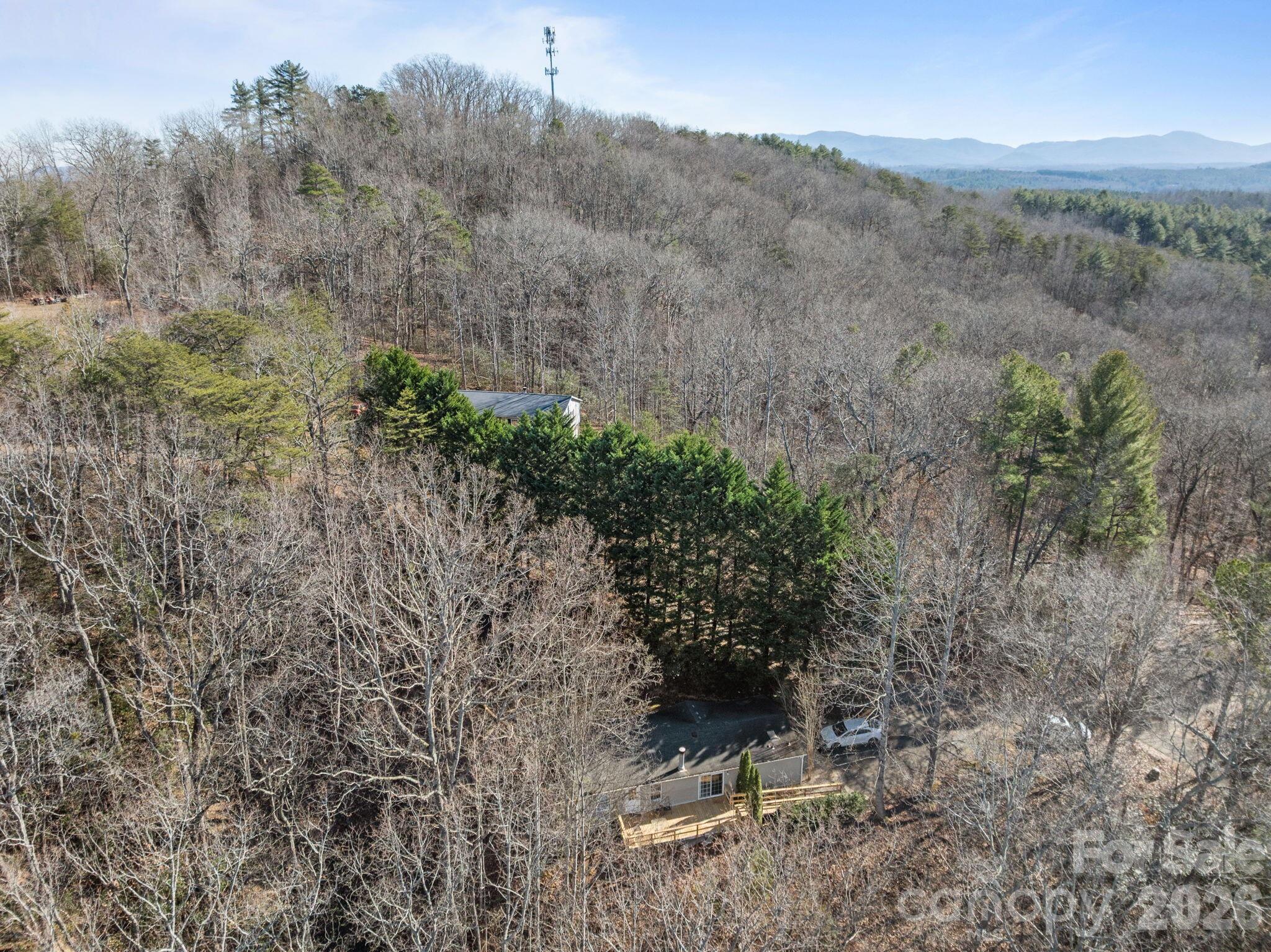 102 Scotts Cove Road — Nebo