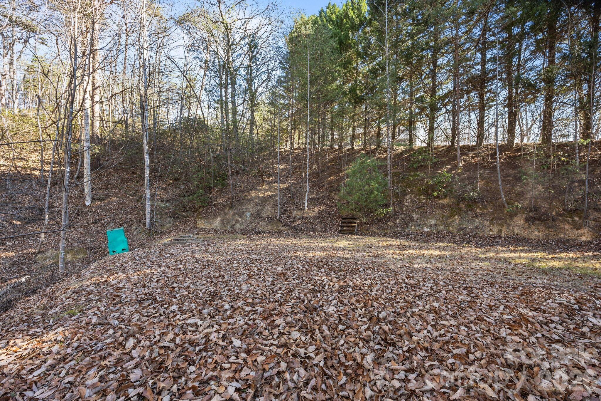 102 Scotts Cove Road — Nebo