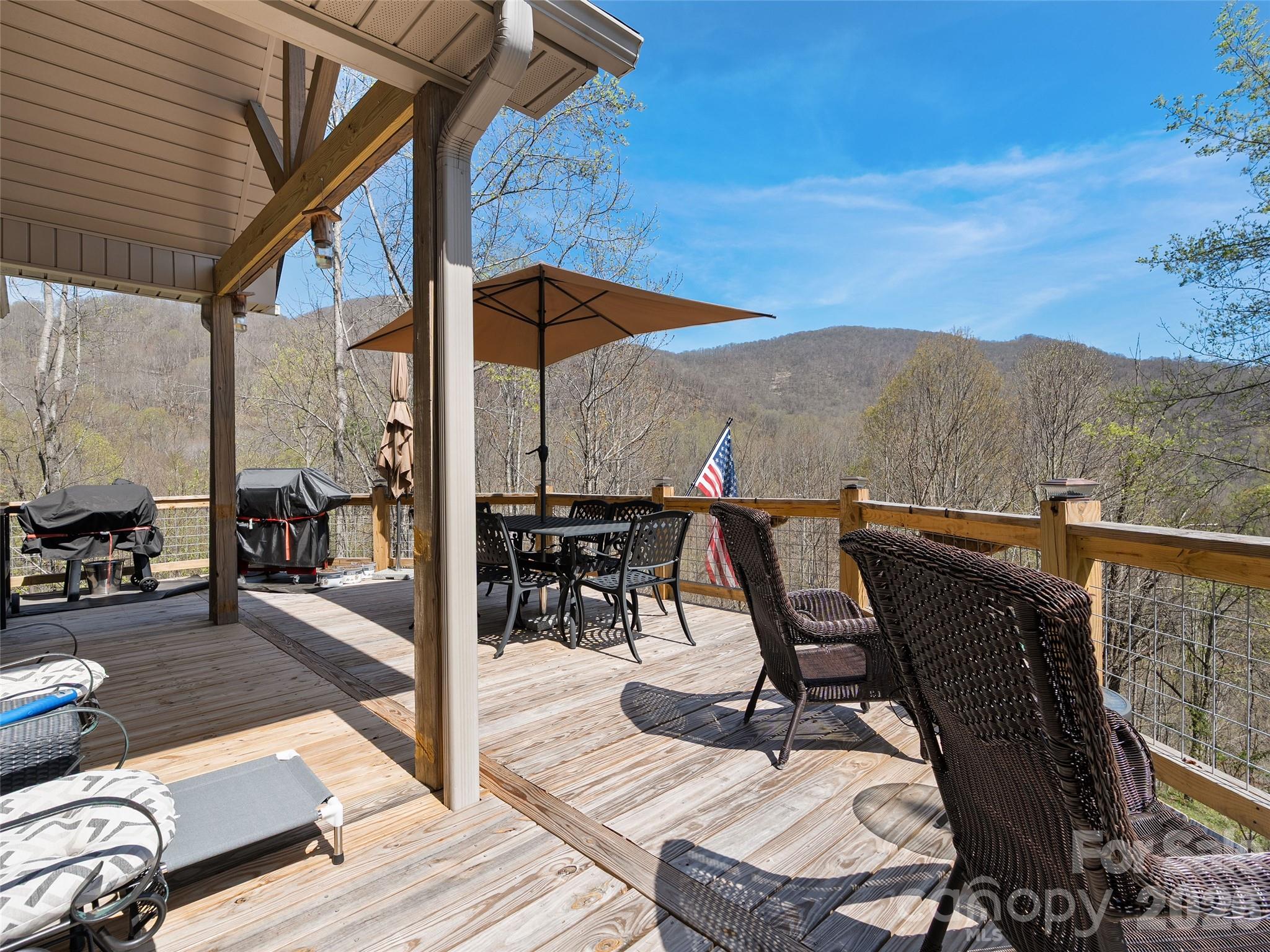 4823 Max Patch Road — Clyde