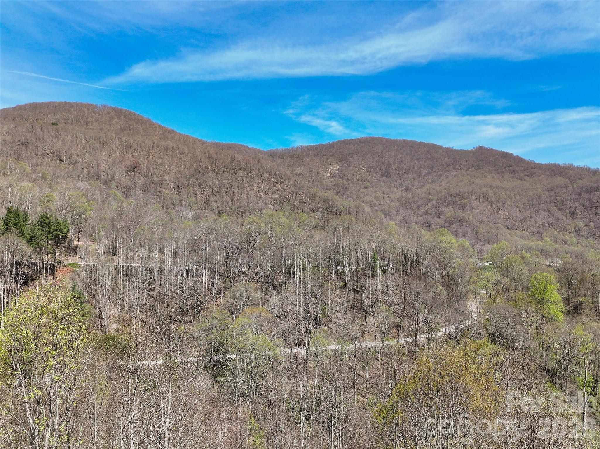 4823 Max Patch Road — Clyde