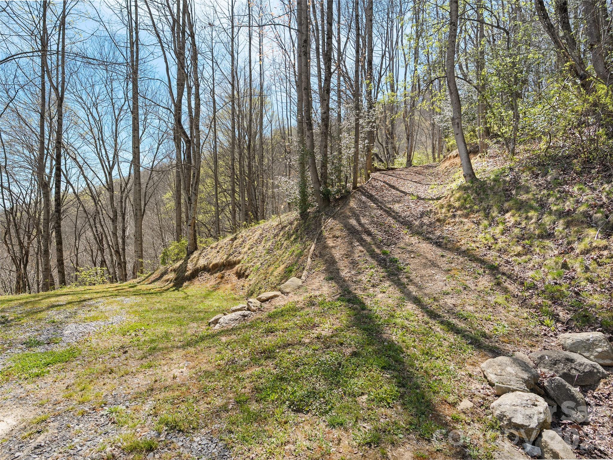 4823 Max Patch Road — Clyde
