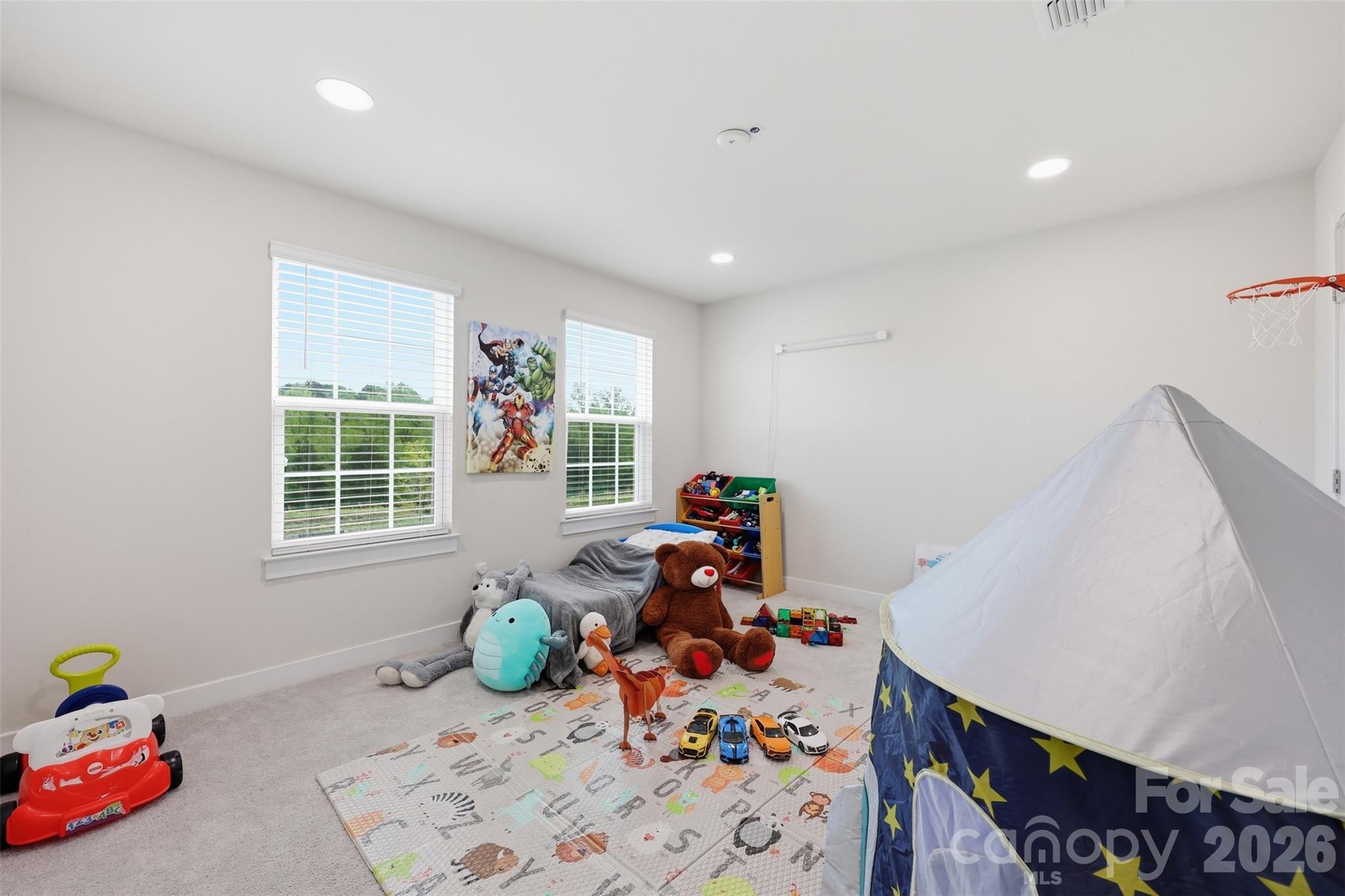 10258 Paper Birch Drive — Charlotte