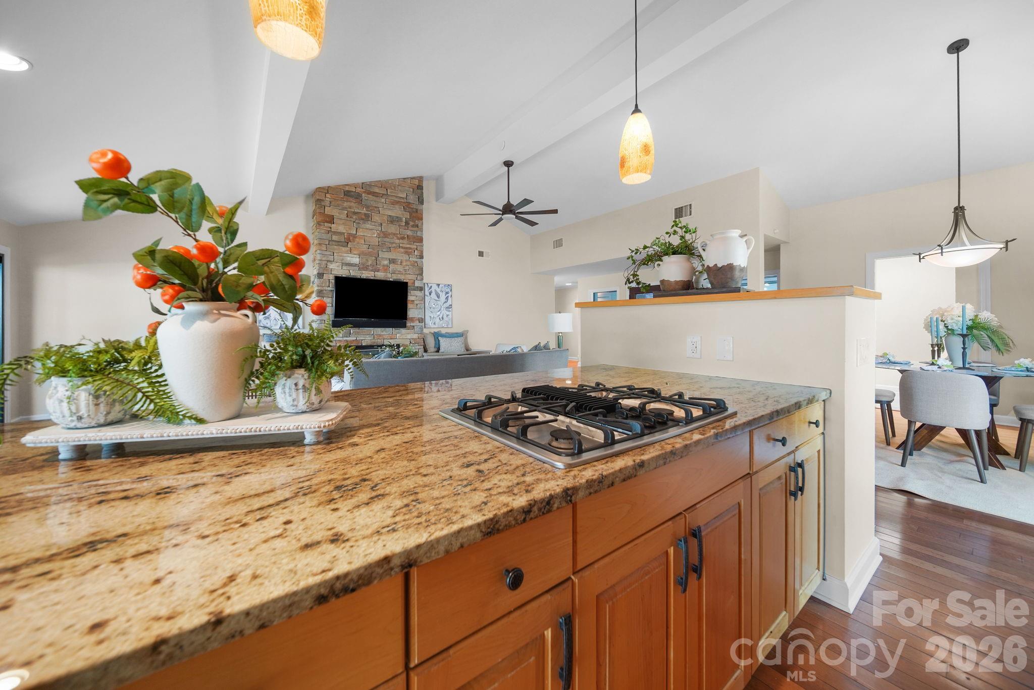 15 King Haigler Chase Street — Lake Wylie