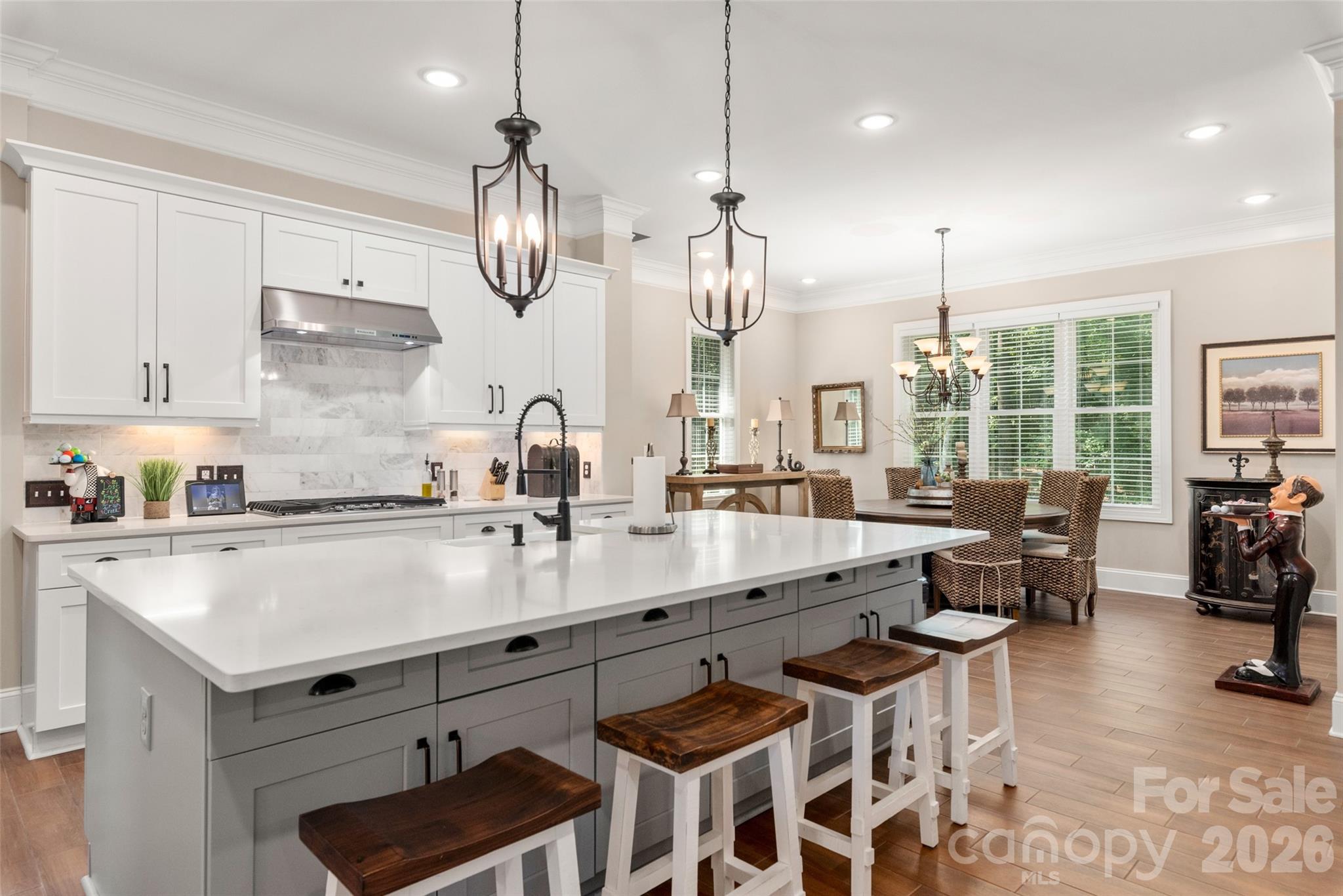 859 Irish Creek Drive — Landis