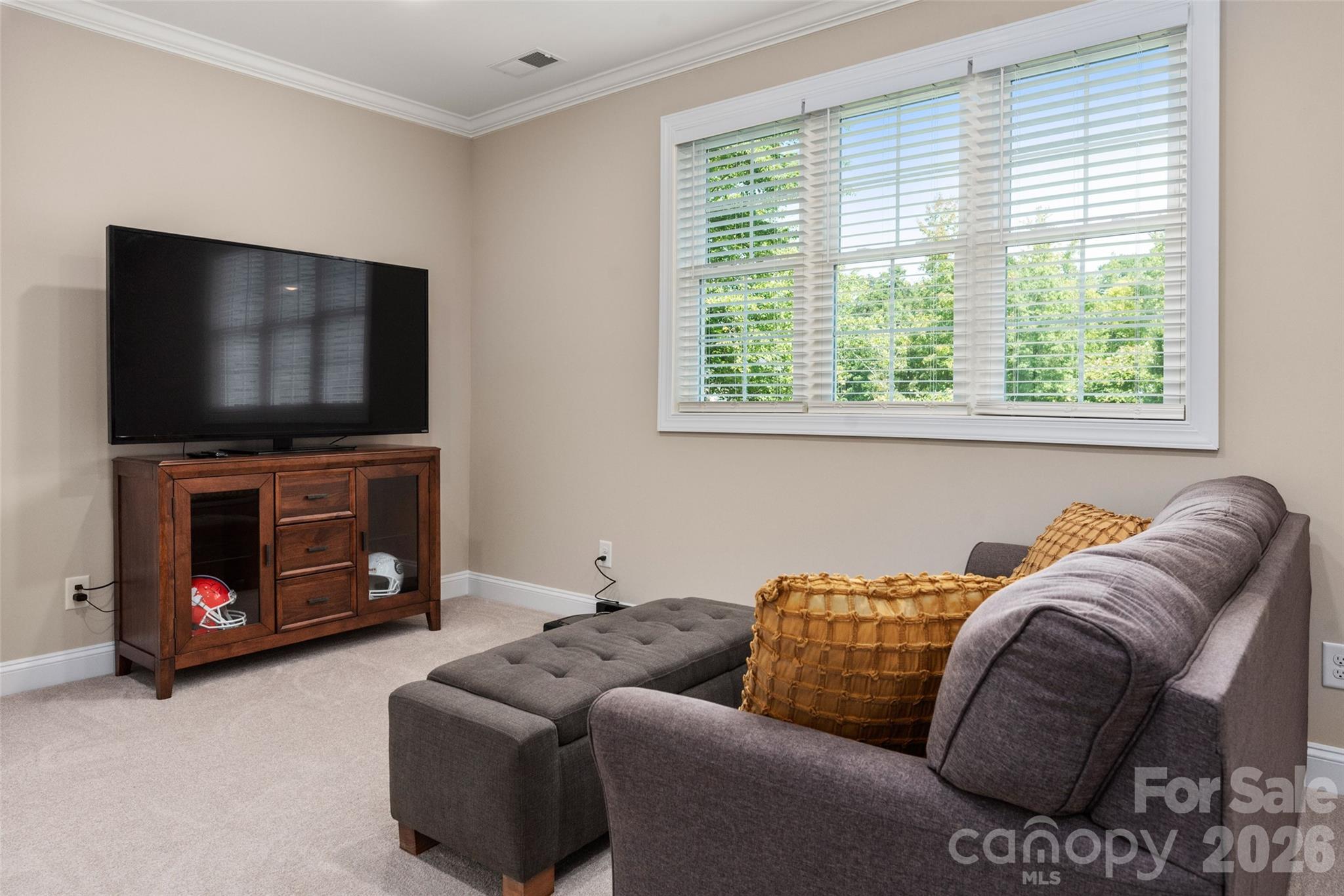 859 Irish Creek Drive — Landis