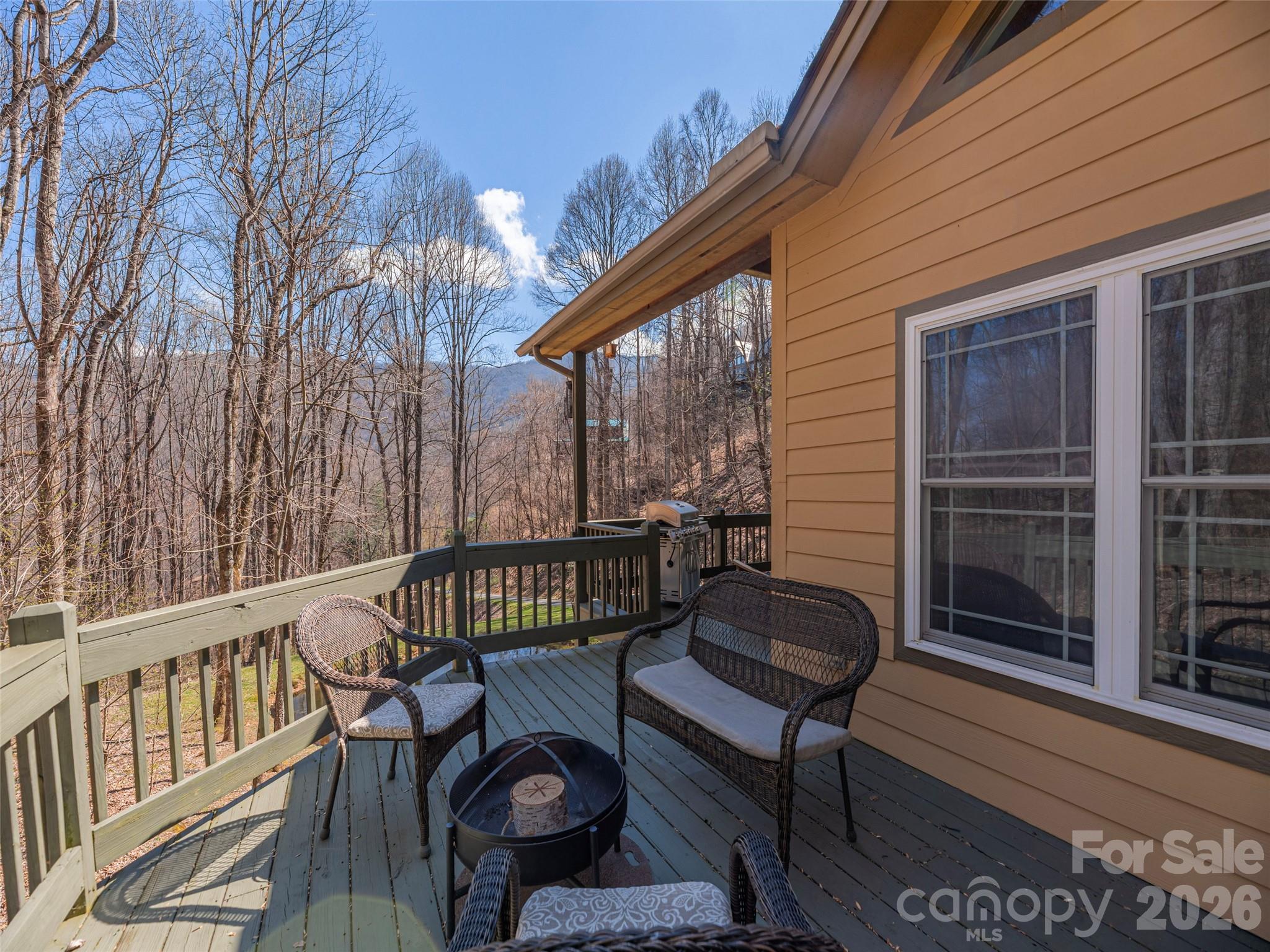 90 Lionheart Lane — Maggie Valley