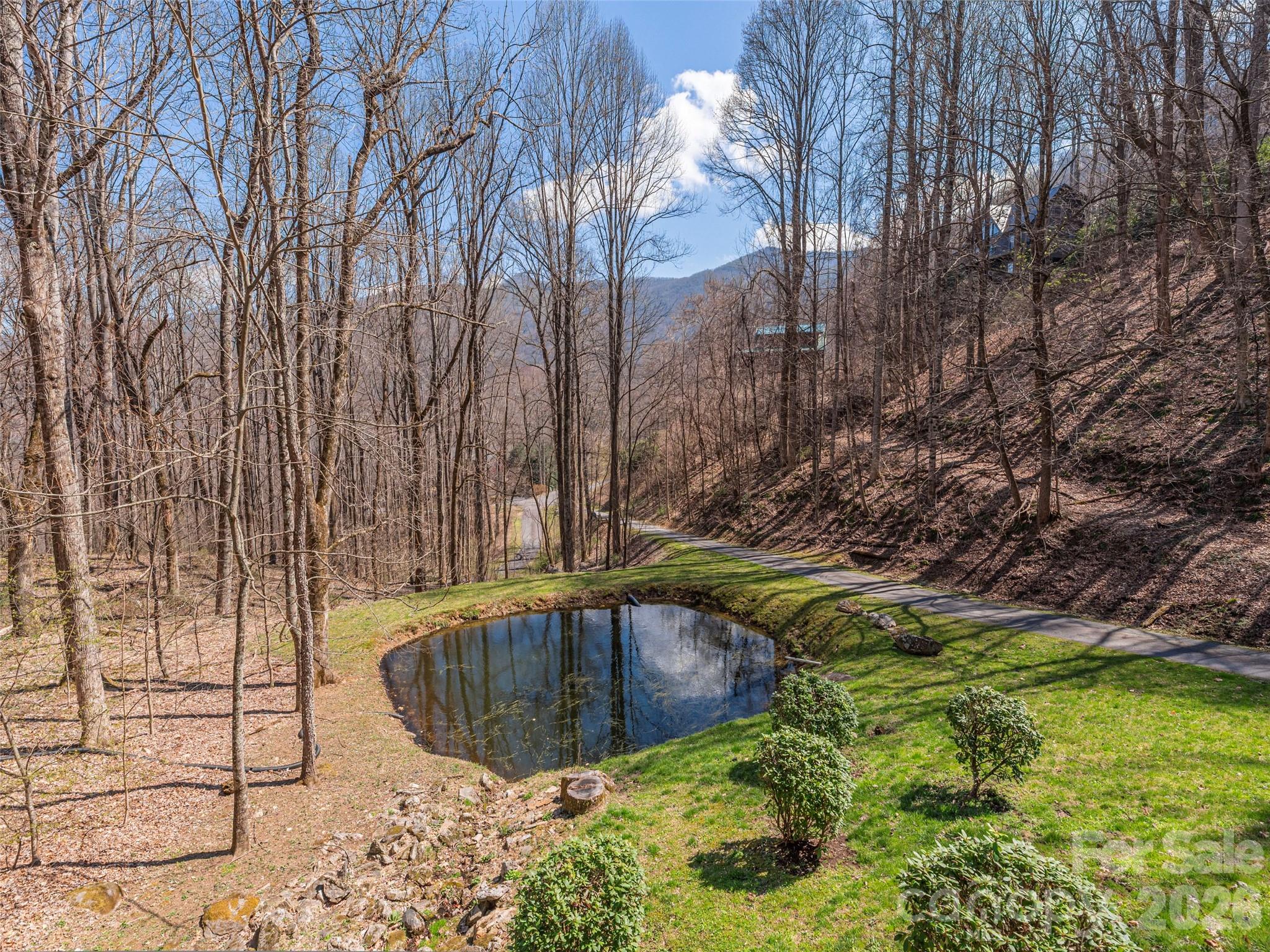 90 Lionheart Lane — Maggie Valley