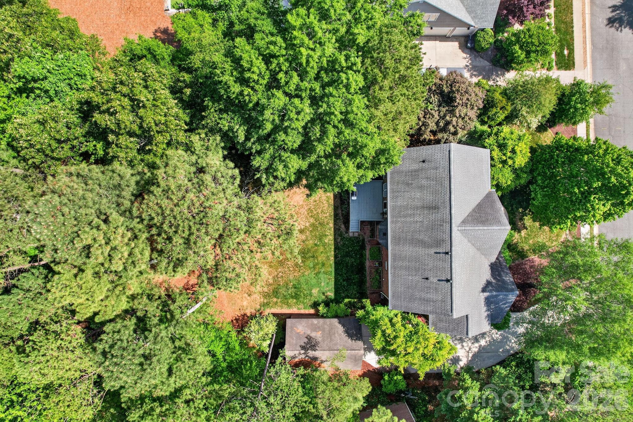 6208 Pumpernickel Lane — Wesley Chapel