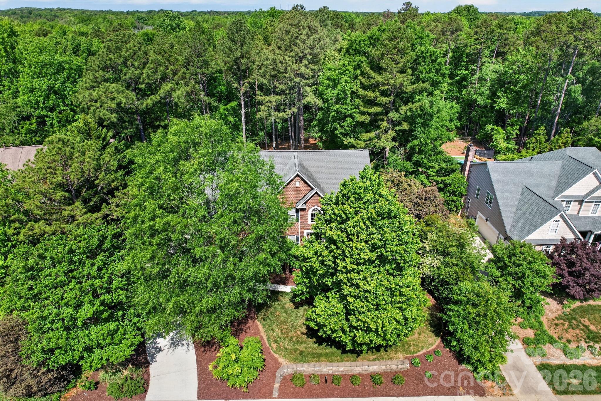 6208 Pumpernickel Lane — Wesley Chapel