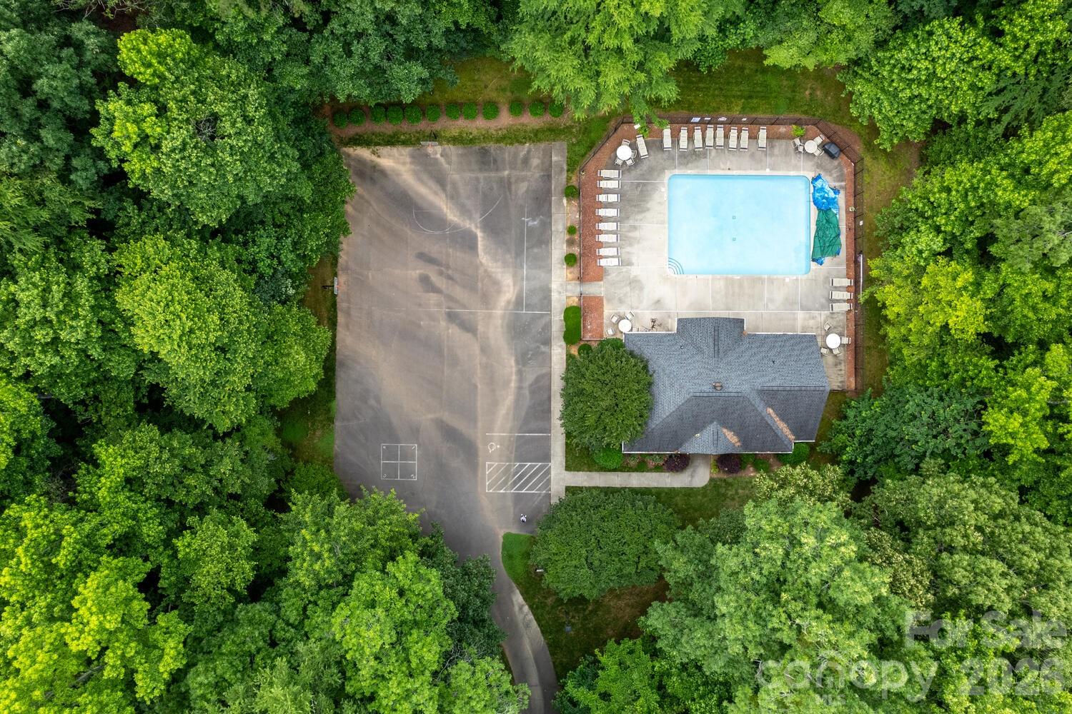 6208 Pumpernickel Lane — Wesley Chapel