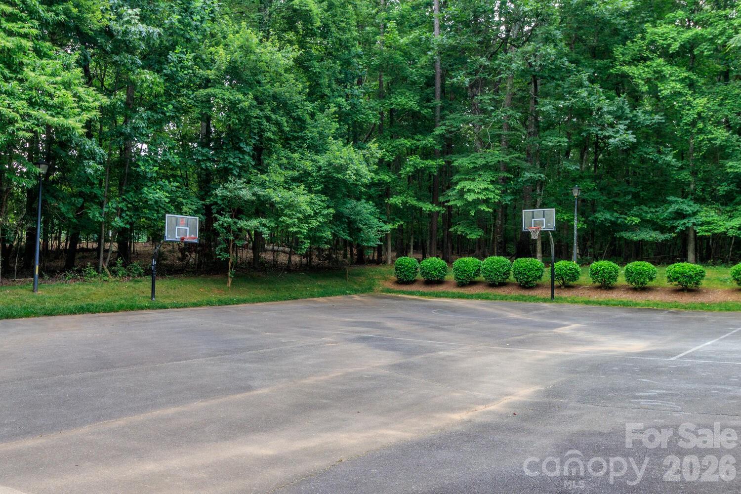 6208 Pumpernickel Lane — Wesley Chapel