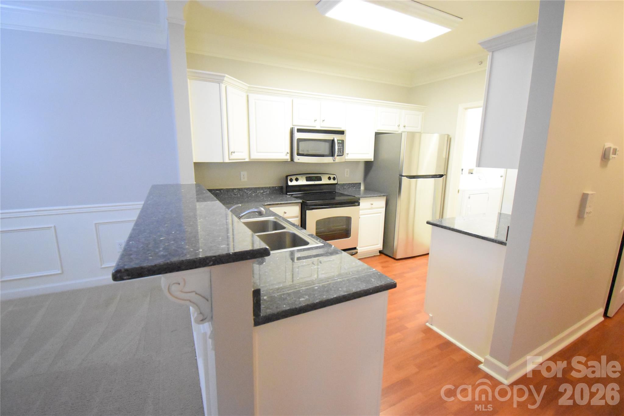 16423 Golden River Lane — Charlotte
