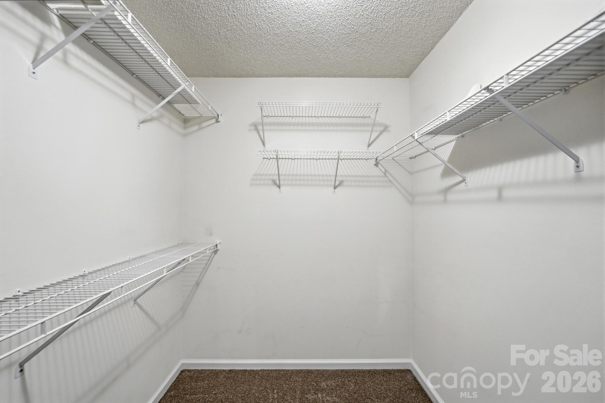 1037 Wilkerson Street — Belmont