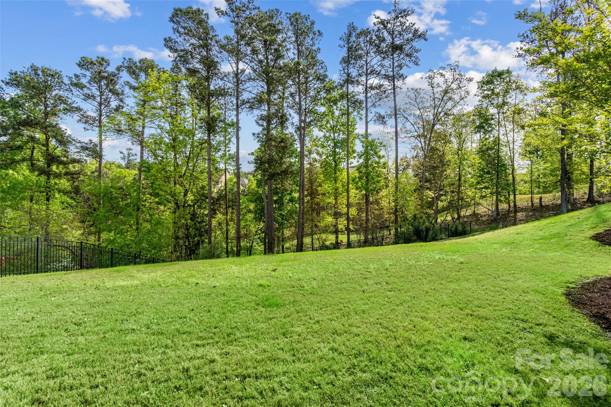 15516 Aviary Orchard Way — Charlotte