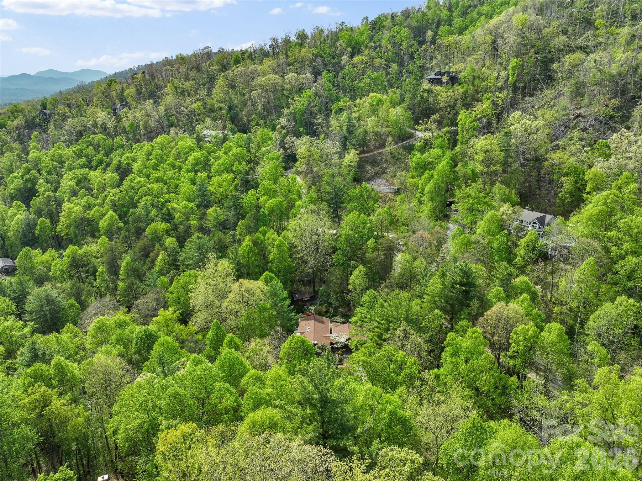 120 Carter Cove Road — Asheville