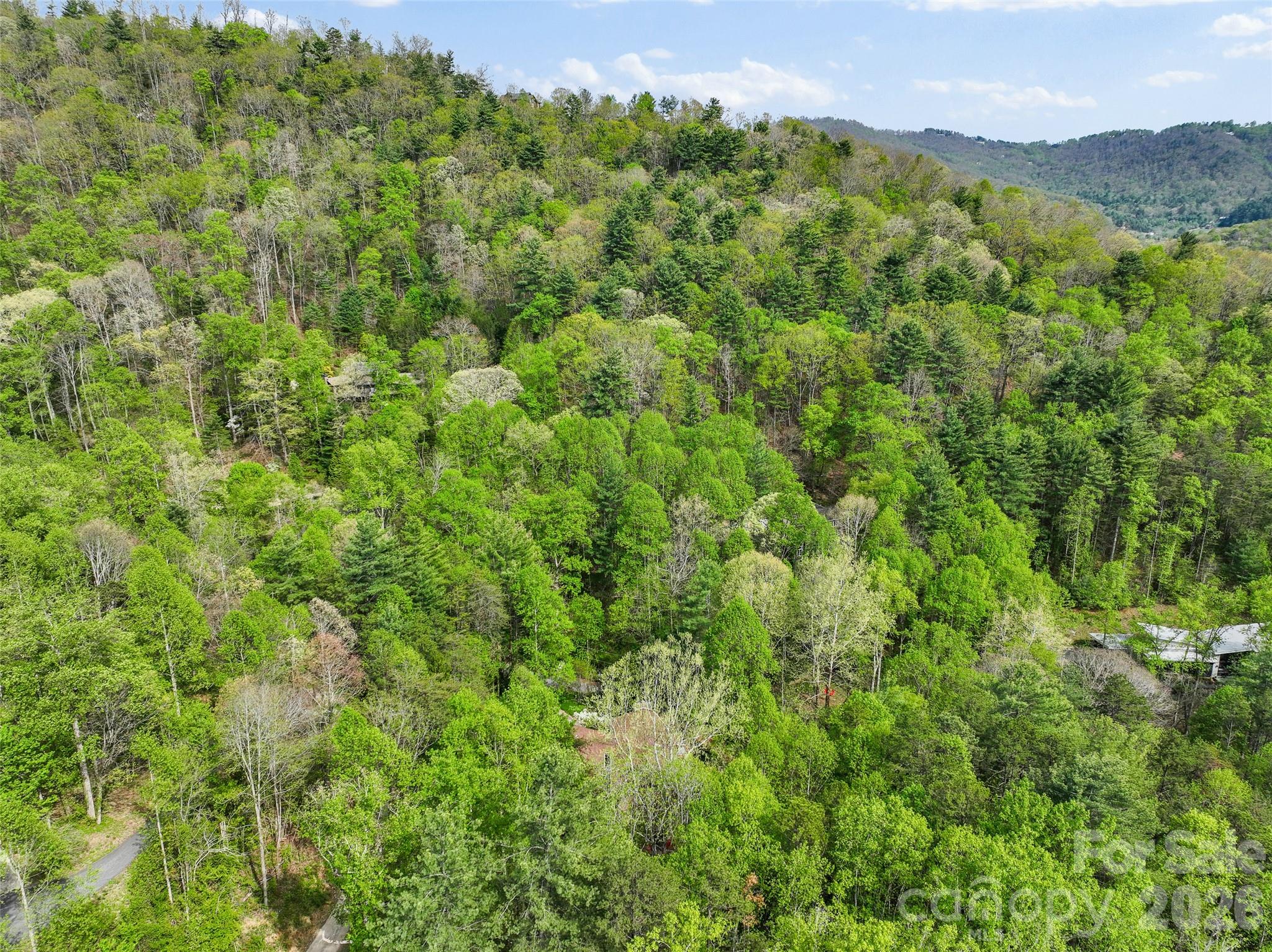 120 Carter Cove Road — Asheville