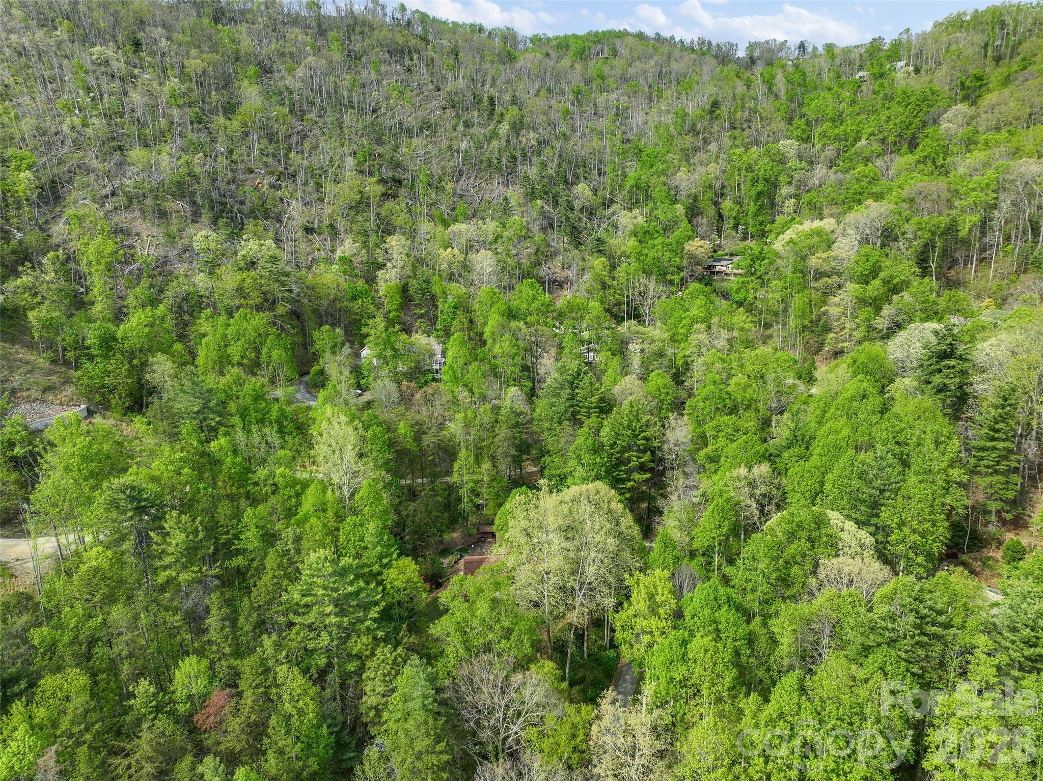 120 Carter Cove Road — Asheville