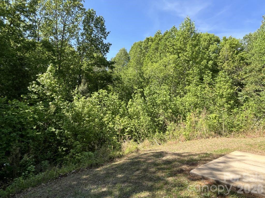 14043 Pinyon Pine Lane — Charlotte