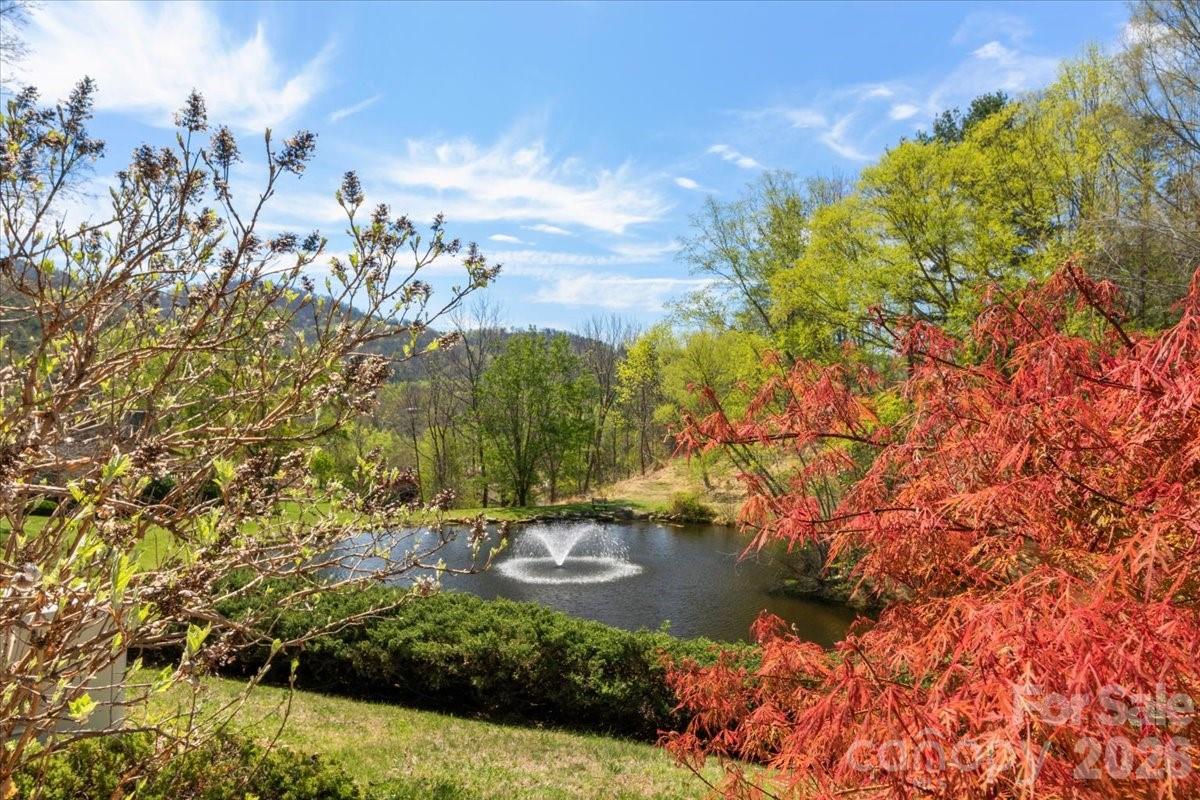 21 Ridge Terrace — Asheville