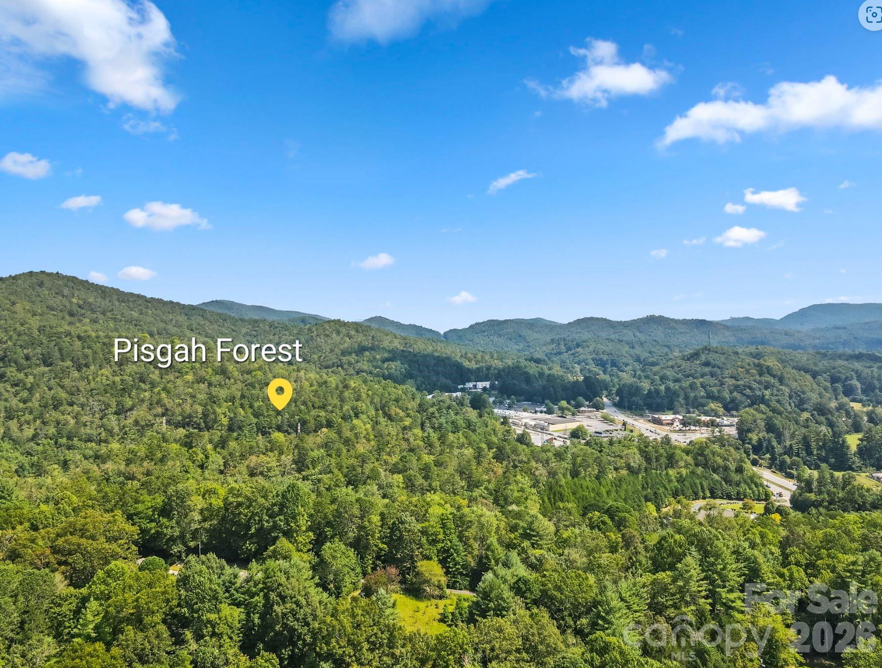 71 Laurel Mountain Road — Brevard