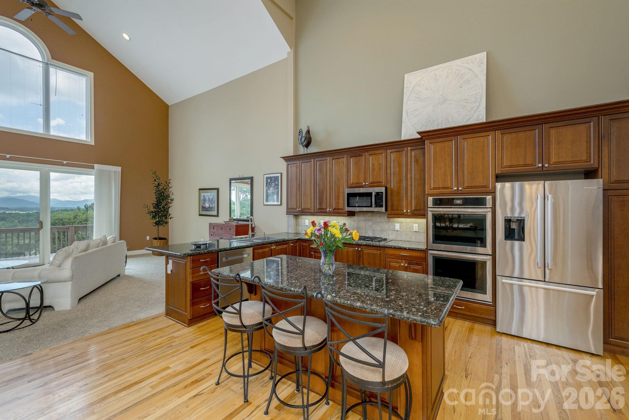 20 N Mission Hills Court — Mills River